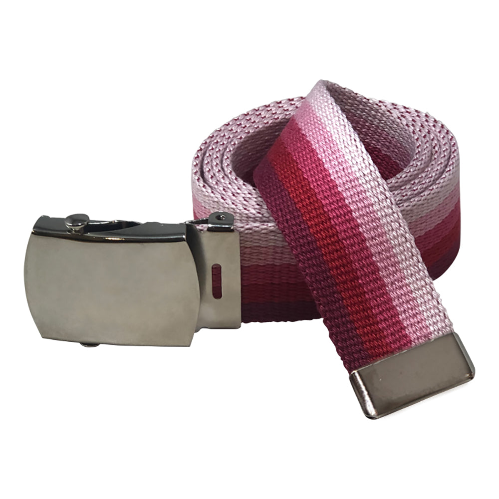 Rainbow Striped Web Belt with Silver Buckle- 4 Colors!